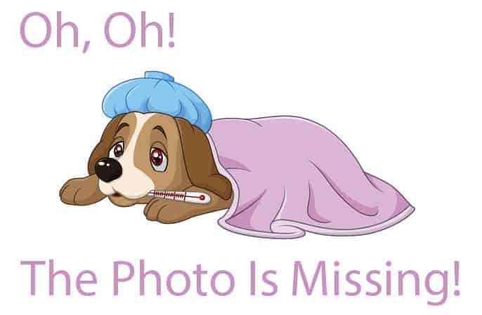 Ash's Mystical Poodles