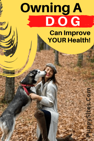 Owning a Dog Can Improve Your Health