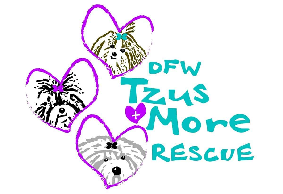 DFW Tzus and More Rescue
