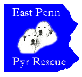 East Penn Pyr Rescue