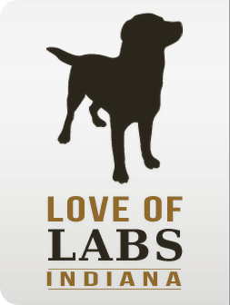 Love of Labs