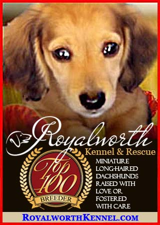 Royalworth Kennel & Rescue