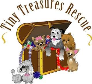 Tiny Treasures Rescue