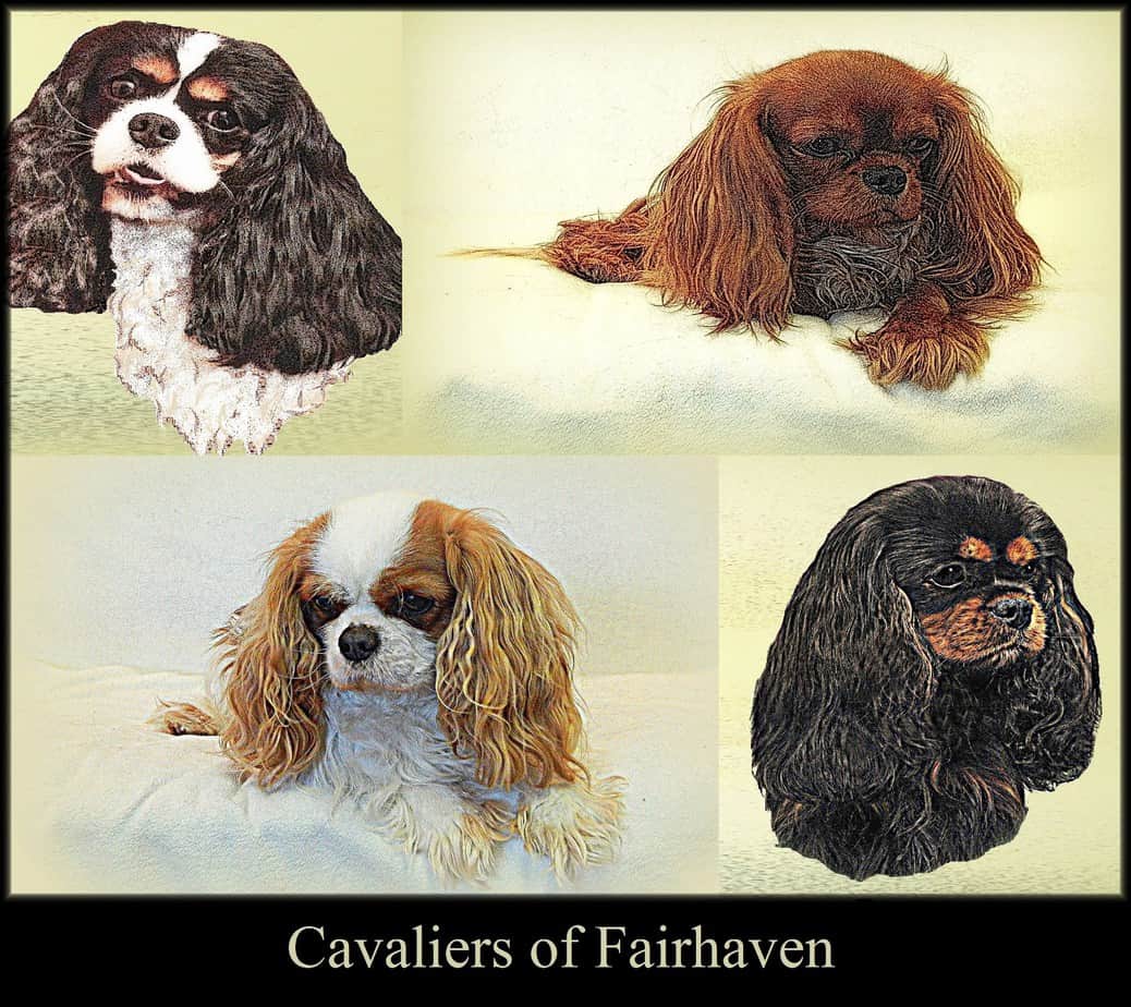 Cavaliers of Fairhaven