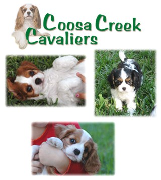 Coosa Creek Cavaliers