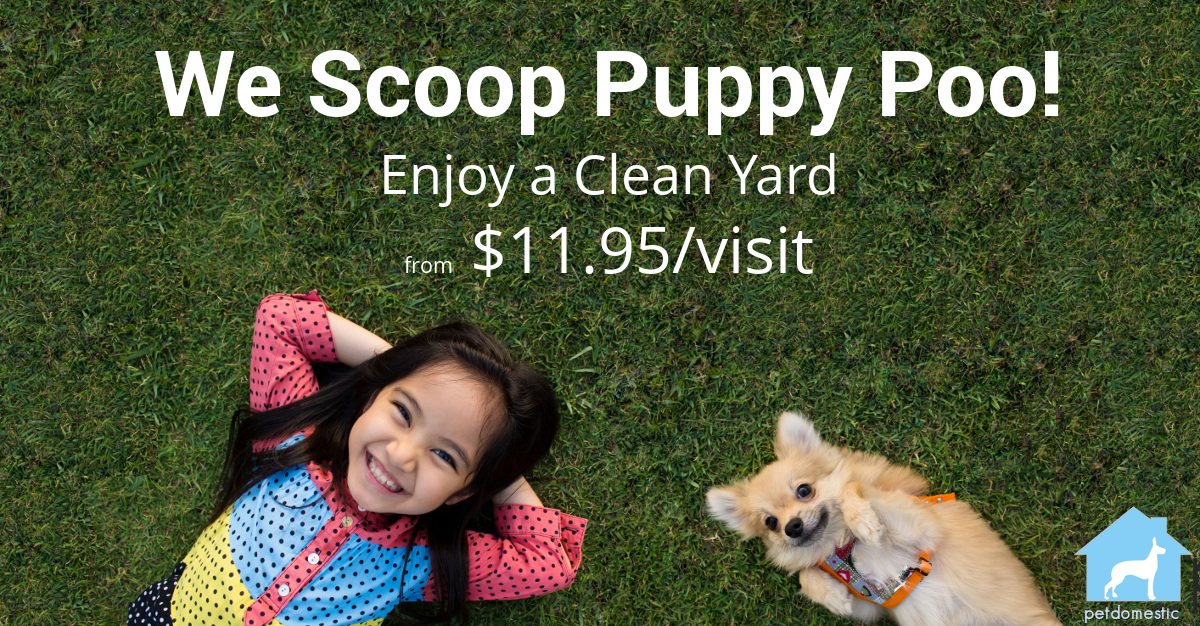 Pet Domestic Pet Waste Removal