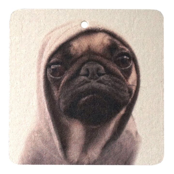 Photo Air Fresheners