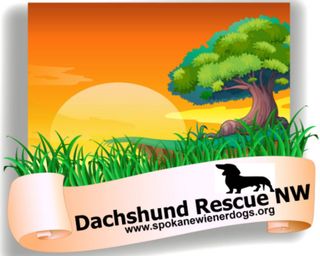 Dachshund Rescue NW and Dachshund Club of Spokane